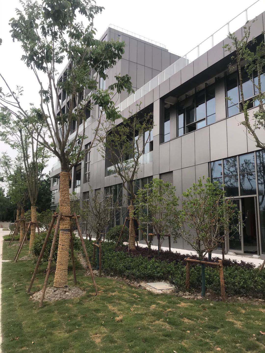 图片 6(1).jpg