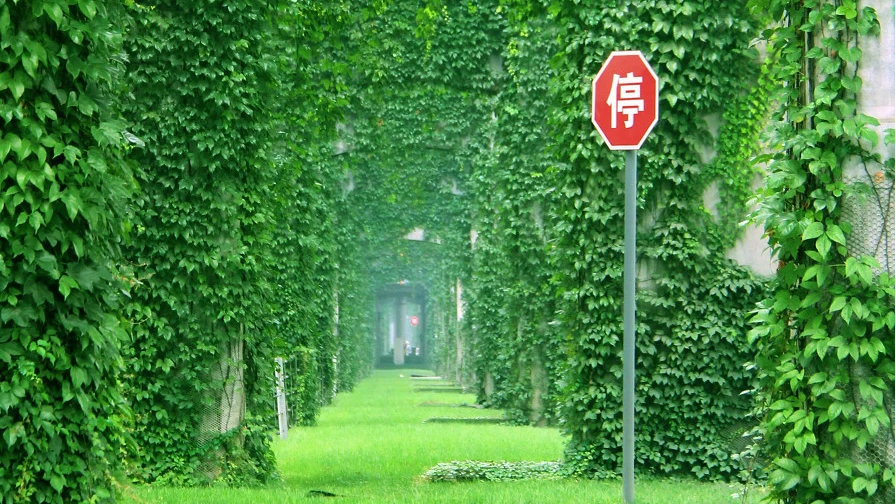 素材6.jpg